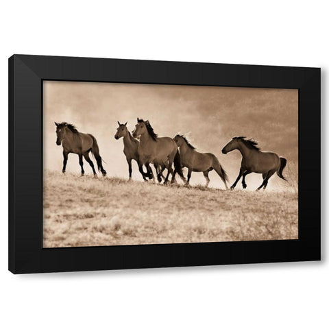 Kicking Dust Black Modern Wood Framed Art Print with Double Matting by Dearing, Lisa