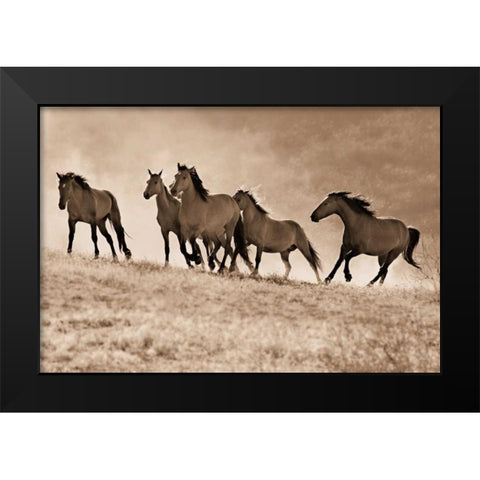 Kicking Dust Black Modern Wood Framed Art Print by Dearing, Lisa