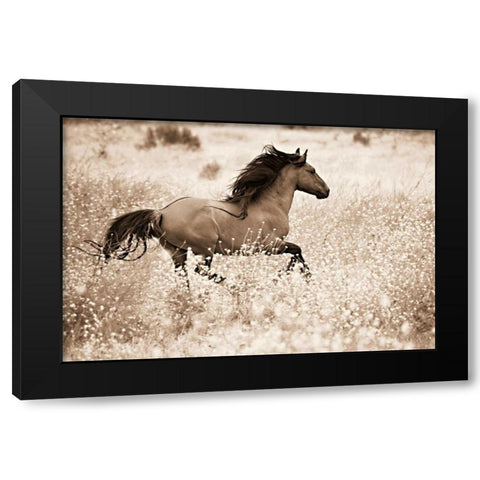 Running Free Black Modern Wood Framed Art Print by Dearing, Lisa