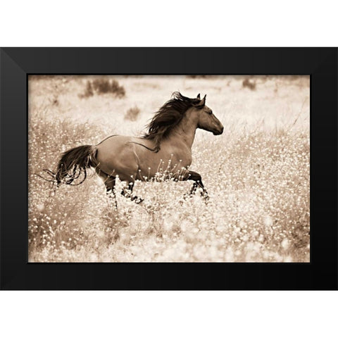 Running Free Black Modern Wood Framed Art Print by Dearing, Lisa