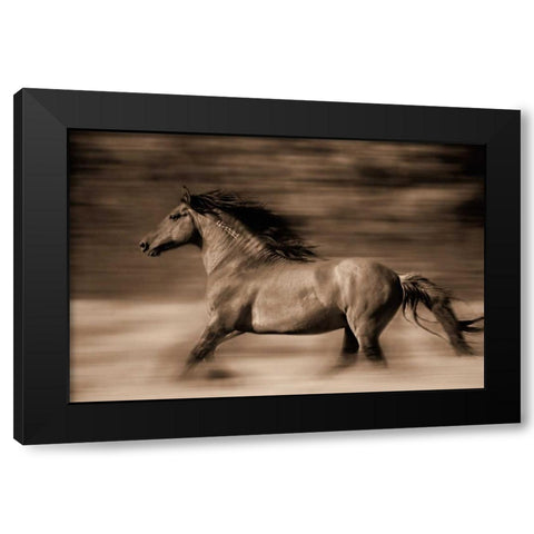 Wind Runner Black Modern Wood Framed Art Print with Double Matting by Dearing, Lisa