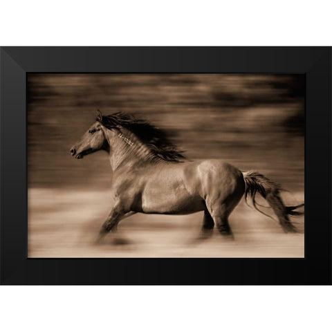 Wind Runner Black Modern Wood Framed Art Print by Dearing, Lisa