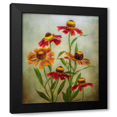 Cabaret Black Modern Wood Framed Art Print with Double Matting by Disher, Mandy