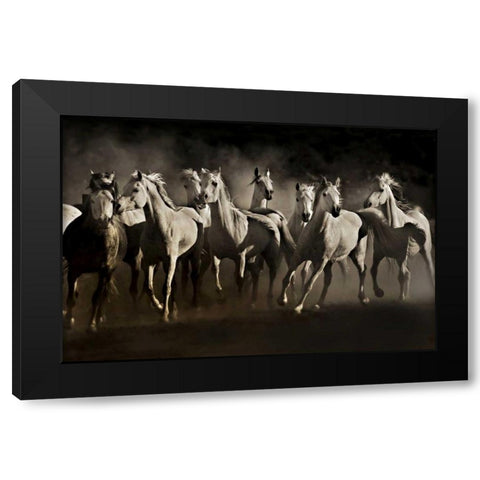 Dream Horses Black Modern Wood Framed Art Print by Dearing, Lisa