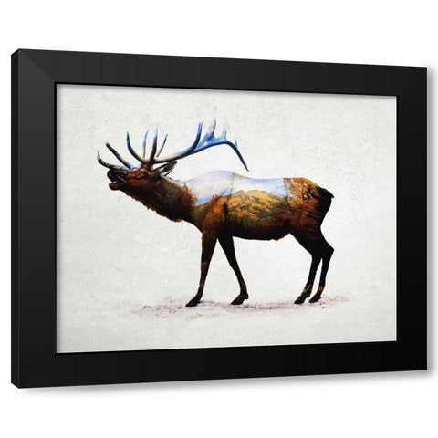 Rocky Mountain Elk Black Modern Wood Framed Art Print with Double Matting by Davies Babies