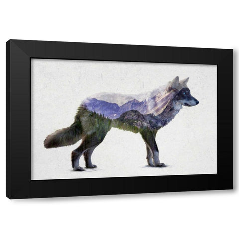 Rocky Mountain Grey Wolf Black Modern Wood Framed Art Print with Double Matting by Davies Babies