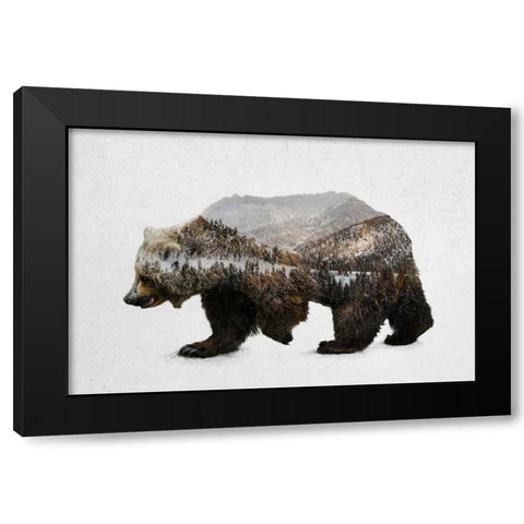 The Kodiak Brown Bear Black Modern Wood Framed Art Print with Double Matting by Davies Babies