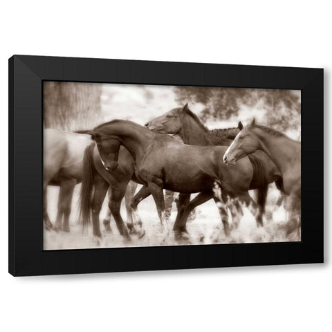 The Herd Black Modern Wood Framed Art Print by Dearing, Lisa