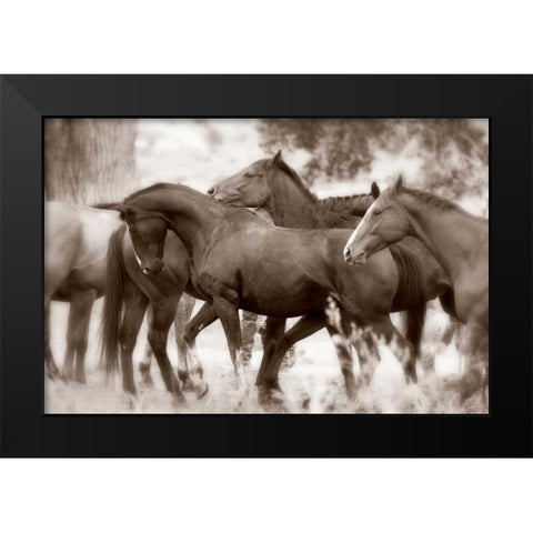 The Herd Black Modern Wood Framed Art Print by Dearing, Lisa