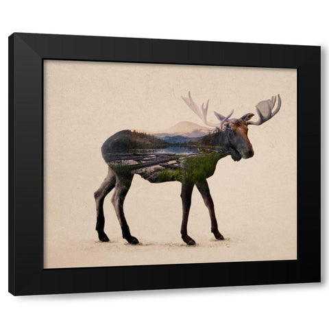 The Alaskan Bull Moose Black Modern Wood Framed Art Print with Double Matting by Davies Babies