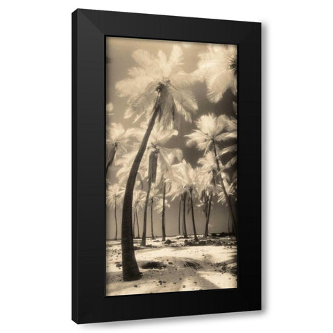 Palm Shadows I Black Modern Wood Framed Art Print with Double Matting by Friedman, Susan