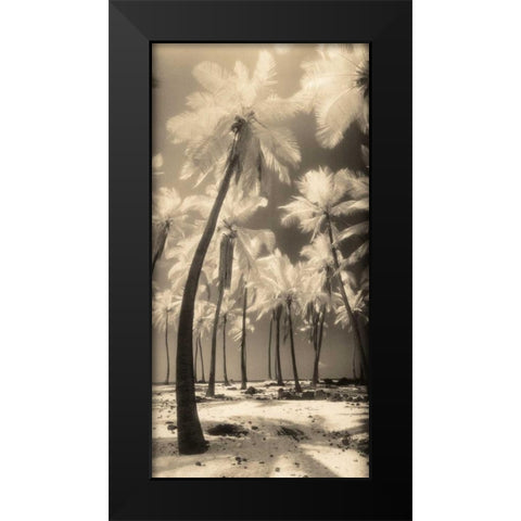 Palm Shadows I Black Modern Wood Framed Art Print by Friedman, Susan