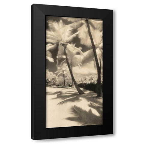 Palm Shadows II Black Modern Wood Framed Art Print by Friedman, Susan