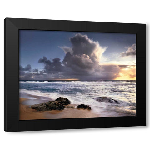 Forces of Nature Black Modern Wood Framed Art Print with Double Matting by Foster, Christopher