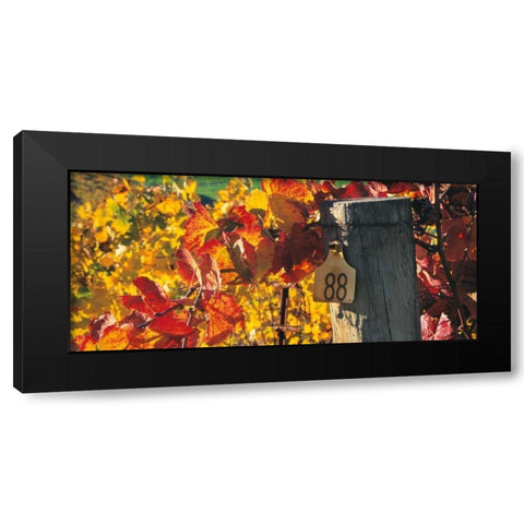 Row 88 Black Modern Wood Framed Art Print with Double Matting by Foster, Christopher