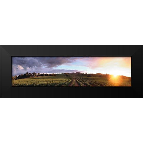 Gout de Terroir Black Modern Wood Framed Art Print by Foster, Christopher