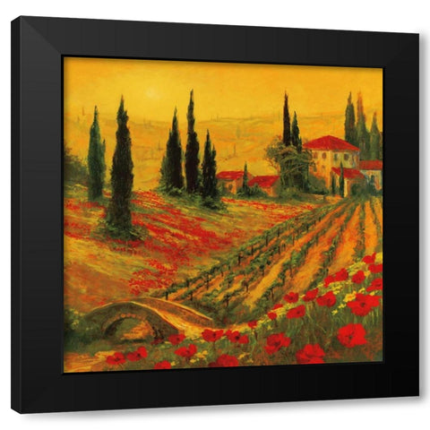 Poppies of Toscano I Black Modern Wood Framed Art Print with Double Matting by Fronckowiak, Art