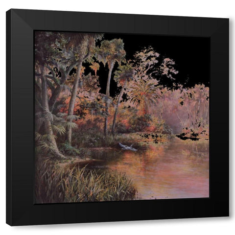 Myakka Sunset Black Modern Wood Framed Art Print with Double Matting by Fronckowiak, Art