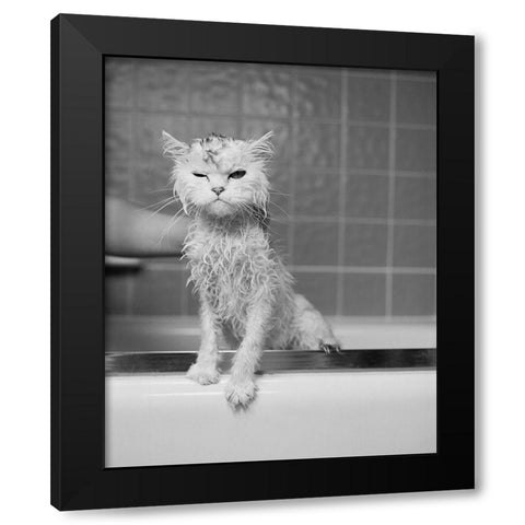 Berts Bath Black Modern Wood Framed Art Print by Flad, James