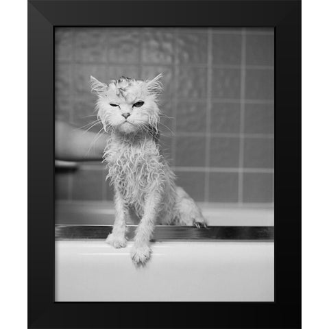 Berts Bath Black Modern Wood Framed Art Print by Flad, James