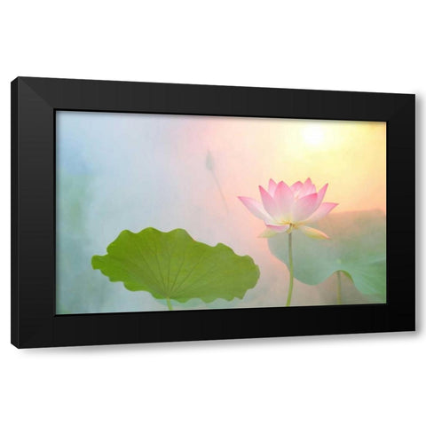 Serenity Black Modern Wood Framed Art Print by Farzad, Bahman