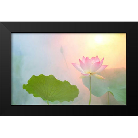 Serenity Black Modern Wood Framed Art Print by Farzad, Bahman