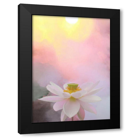 Beauty at Dawn Black Modern Wood Framed Art Print with Double Matting by Farzad, Bahman