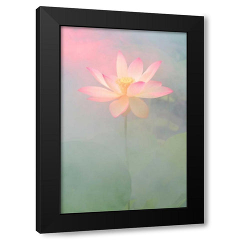 Pink Passion Black Modern Wood Framed Art Print with Double Matting by Farzad, Bahman