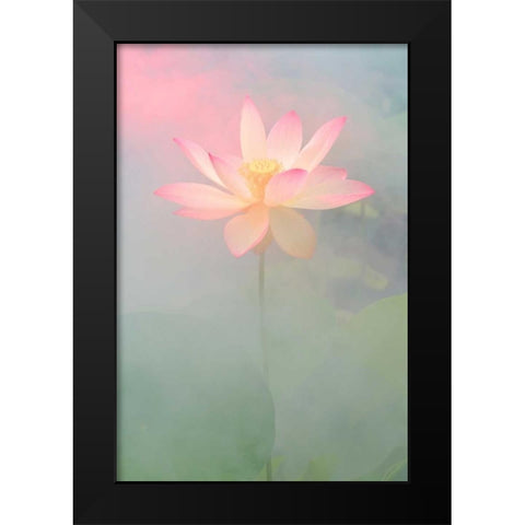 Pink Passion Black Modern Wood Framed Art Print by Farzad, Bahman