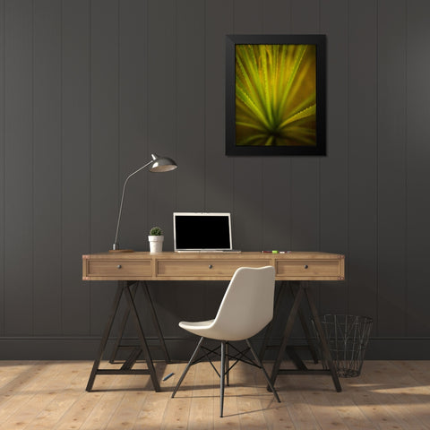 California Monocot Black Modern Wood Framed Art Print by France, Todd