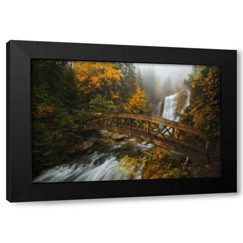 A Bridge in the Forest Black Modern Wood Framed Art Print by Fossati, Enrico