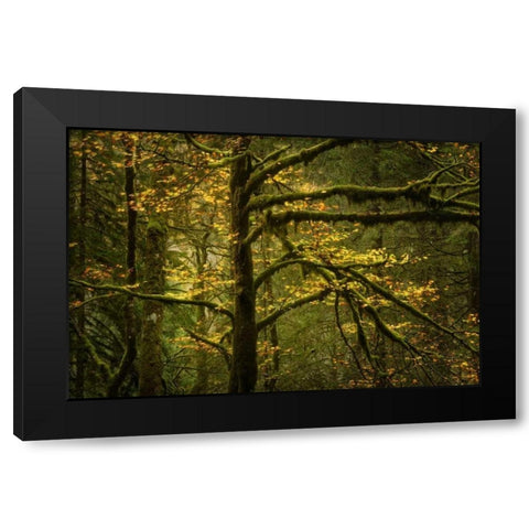 Golden Drops Black Modern Wood Framed Art Print by Fossati, Enrico