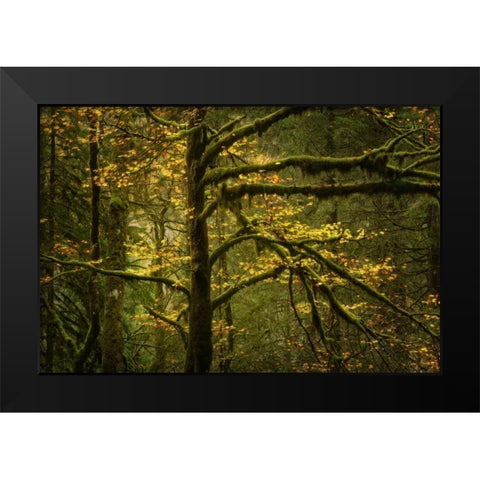 Golden Drops Black Modern Wood Framed Art Print by Fossati, Enrico