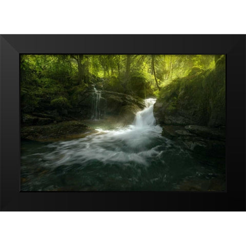Stream of Life Black Modern Wood Framed Art Print by Fossati, Enrico