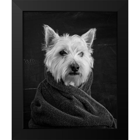 Portrait of a Westy Dog Black Modern Wood Framed Art Print by Fielding, Edward M.