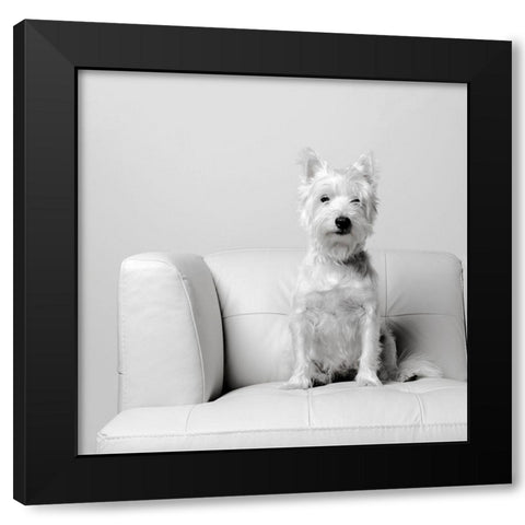White on White Black Modern Wood Framed Art Print with Double Matting by Fielding, Edward M.