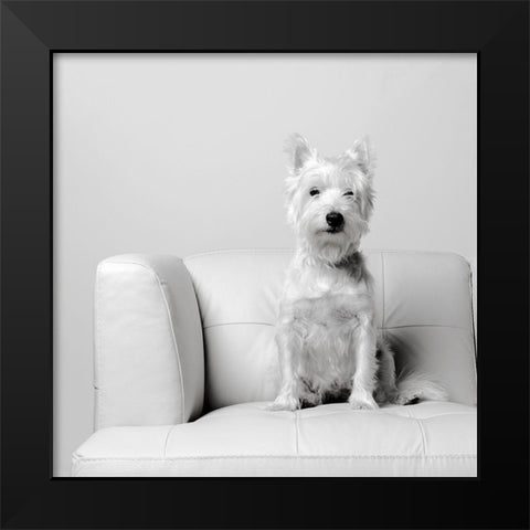 White on White Black Modern Wood Framed Art Print by Fielding, Edward M.