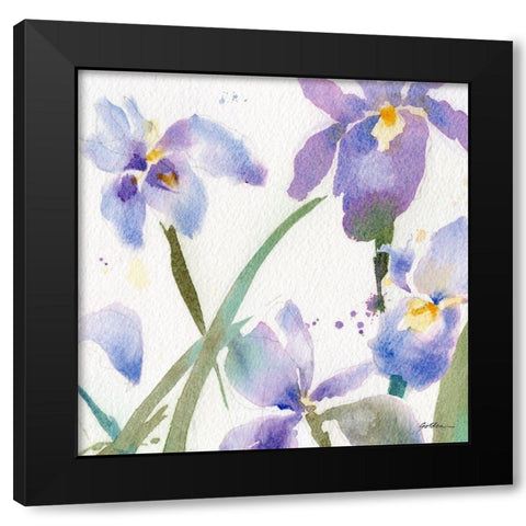 Irises Black Modern Wood Framed Art Print by Golden, Sheila