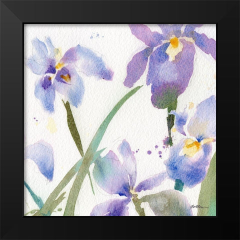 Irises Black Modern Wood Framed Art Print by Golden, Sheila