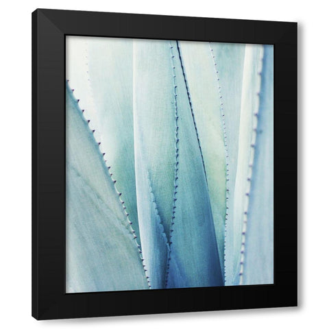 Pale Blue Agave No. 1 Black Modern Wood Framed Art Print with Double Matting by Grainne, Lupen