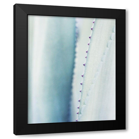 Pale Blue Agave No. 2 Black Modern Wood Framed Art Print with Double Matting by Grainne, Lupen