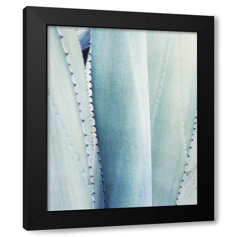 Pale Blue Agave No. 3 Black Modern Wood Framed Art Print with Double Matting by Grainne, Lupen