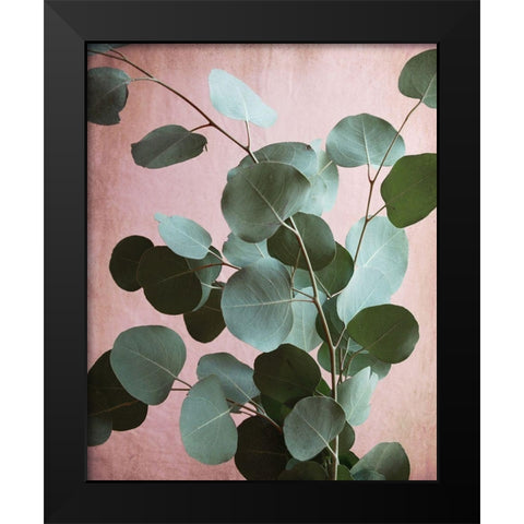 Sage Eucalyptus No. 1 Black Modern Wood Framed Art Print by Grainne, Lupen