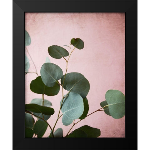Sage Eucalyptus No. 2 Black Modern Wood Framed Art Print by Grainne, Lupen