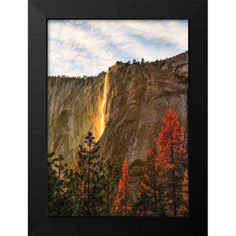 The Lost Fire Black Modern Wood Framed Art Print by Gordon, Dave