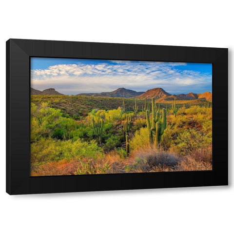 Jewel Evening Black Modern Wood Framed Art Print with Double Matting by Gavrilis, John