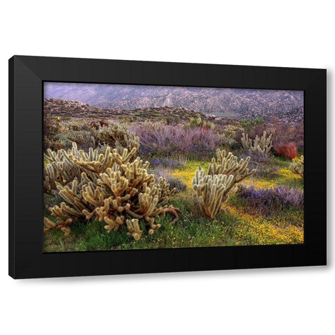 Desert Cactus and Wildflowers Black Modern Wood Framed Art Print with Double Matting by Gavrilis, John