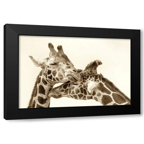In Love Black Modern Wood Framed Art Print with Double Matting by Grippo-Pike, Carrie Ann