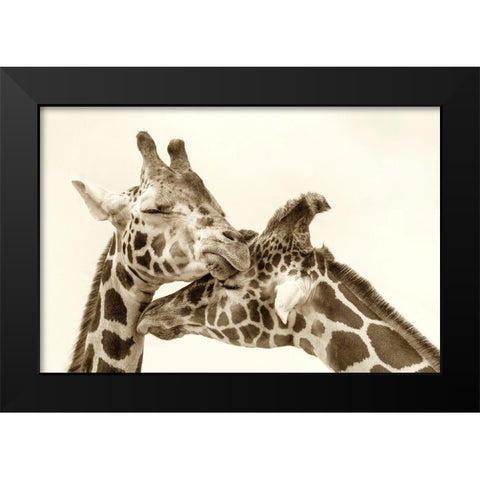 In Love Black Modern Wood Framed Art Print by Grippo-Pike, Carrie Ann