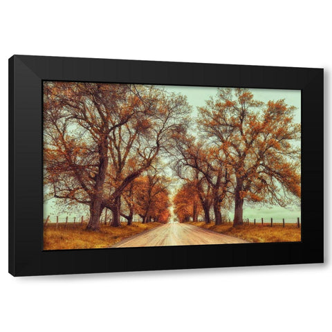 November Adventures Black Modern Wood Framed Art Print by Grippo-Pike, Carrie Ann